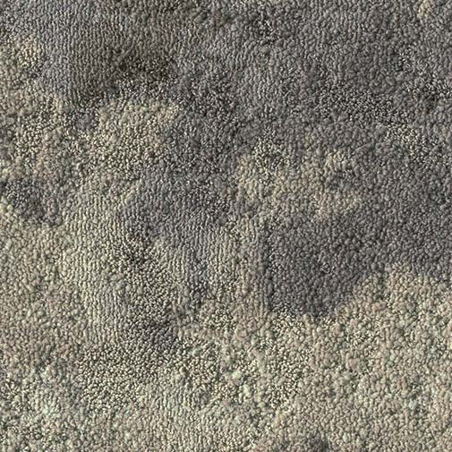 Milliken Painted Garden Loam PGN27 - 13 - 165 Carpet Planks - DCTUK
