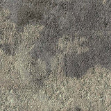 Milliken Painted Garden Loam PGN27 - 13 - 165 Carpet Planks - DCTUK