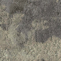 Milliken Painted Garden Carpet Planks Loam PGN27-13-165 Carpet Planks