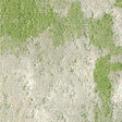 Milliken Painted Garden Seedling PGN218 - 202 - 207 Carpet Planks - DCTUK