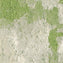 Milliken Painted Garden Seedling PGN218 - 202 - 207 Carpet Planks - DCTUK