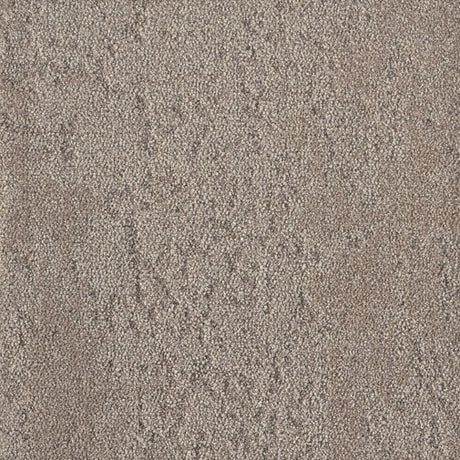 Milliken Sculptured Forms In The Round Sketch Carpet Tiles - DCTUK