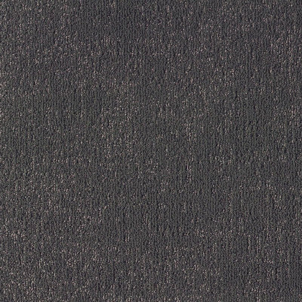 Sheltered Bay FSY 79