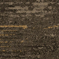 Mohawk Imperfection - Rupture Carpet Planks 685 Carpet Planks