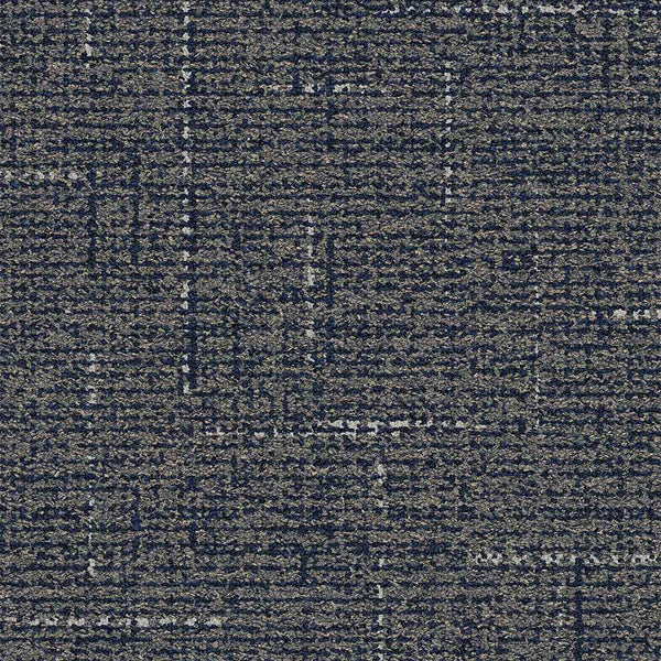 Navy 1904007