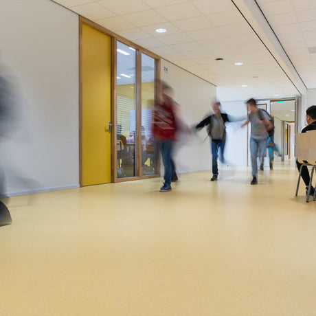 Nora Noraplan Signa 2mm 7031 Rubber Sheet - DCTUK