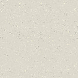 Nora Noraplan Signa 2mm 7035 Rubber Sheet - DCTUK