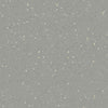 Nora Noraplan Signa 2mm 7036 Rubber Sheet - DCTUK