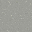 Nora Noraplan Signa 2mm 7036 Rubber Sheet - DCTUK