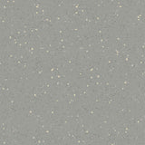 Nora Noraplan Signa 2mm 7036 Rubber Sheet - DCTUK