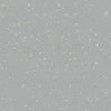 Nora Noraplan Signa 2mm 7040 Rubber Sheet - DCTUK