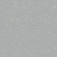 Nora Noraplan Signa 2mm 7040 Rubber Sheet