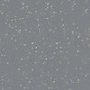 Nora Noraplan Signa 2mm 7041 Rubber Sheet - DCTUK