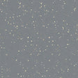 Nora Noraplan Signa 2mm 7041 Rubber Sheet - DCTUK