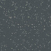 Nora Noraplan Signa 2mm 7042 Rubber Sheet - DCTUK