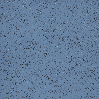 Nora Noraplan Ultra Grip 6019 Rubber Sheet