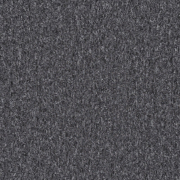 Graphite Fleck