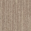 Nouveau Cascade Camel Carpet Planks - DCTUK