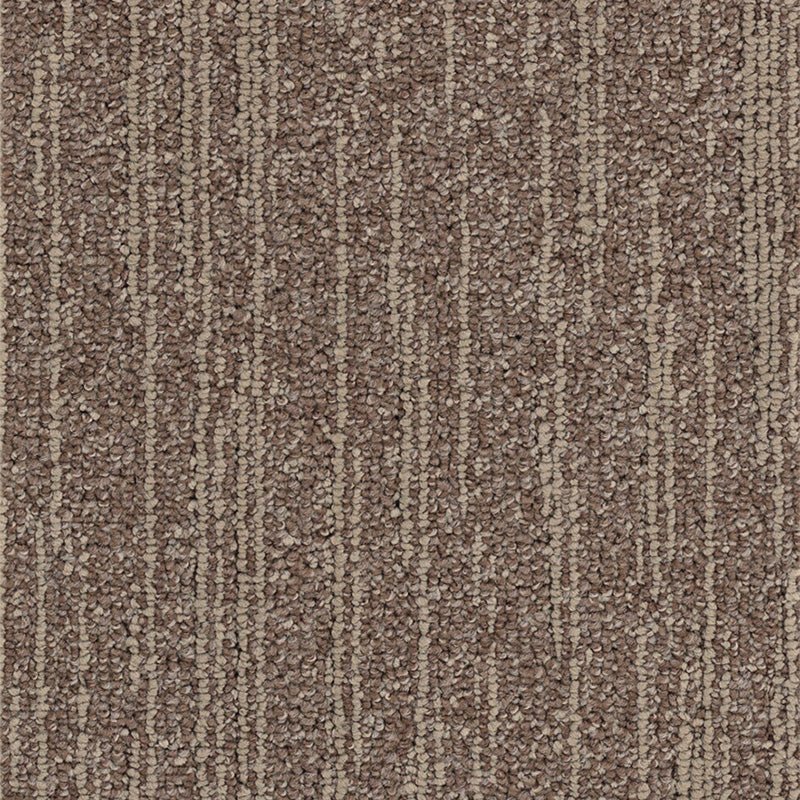 Nouveau Cascade Carpet Planks Cocoa Carpet Planks from DCTUK