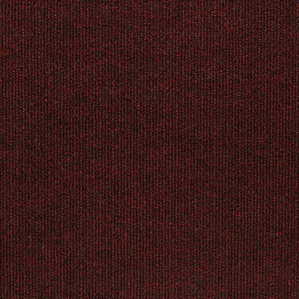 Berry Spark