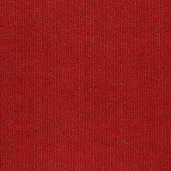 Scarlet Blaze