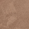 Nouveau Composition Bloom Pumpkin Carpet Tiles - DCTUK