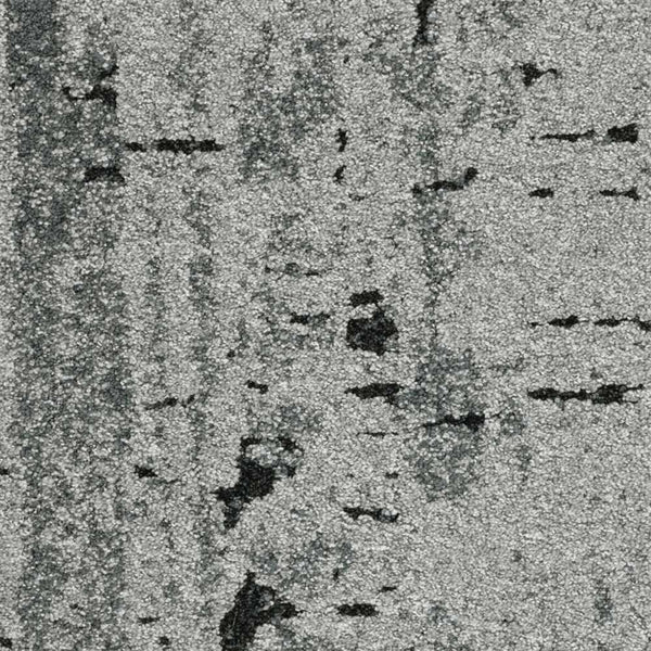 Bark Birch