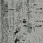 Nouveau Embroidered Nature Bark Birch Carpet Tiles from DCTUK