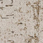 Nouveau Embroidered Nature Bark Sycamore Carpet Tiles from DCTUK