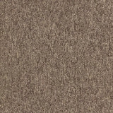 Nouveau Evolution Clay Carpet Tiles - DCTUK