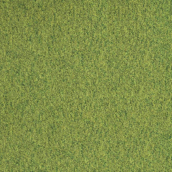 Grass
