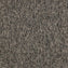 Nouveau Evolution Husk Carpet Tiles - DCTUK