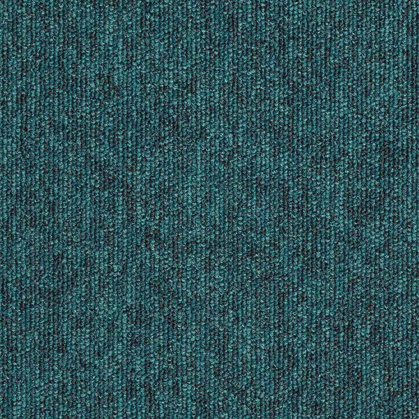 Juniper
