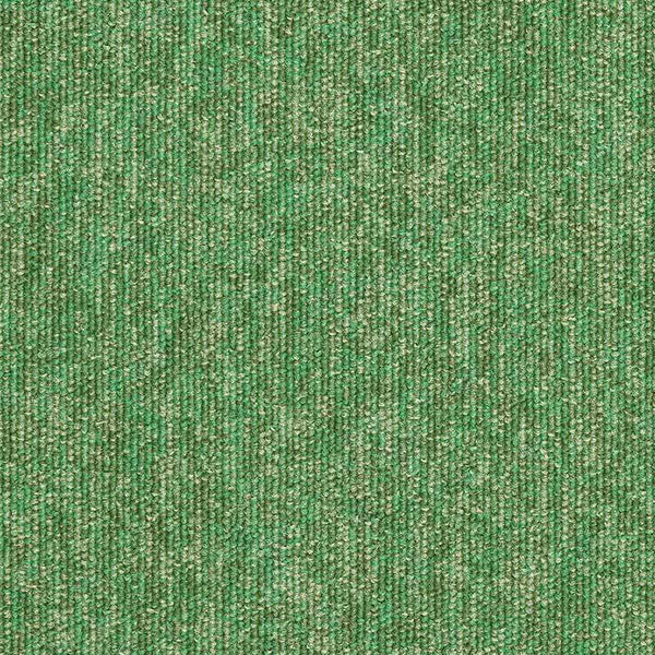 Palm