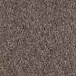 Nouveau Evolution Pebble Carpet Tiles - DCTUK