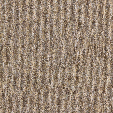 Nouveau Evolution Sand Carpet Tiles - DCTUK