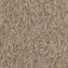 Nouveau Evolution Sand Carpet Tiles - DCTUK
