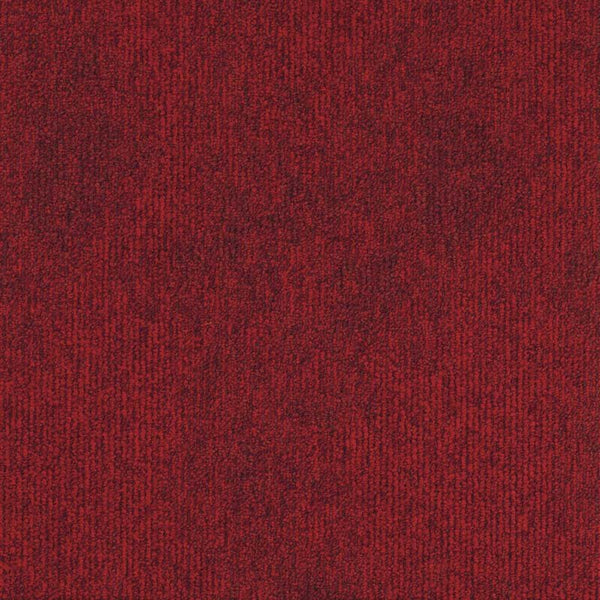 Lava