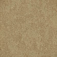 Nouveau Seasons Bloom Buttercup Carpet Tiles from DCTUK