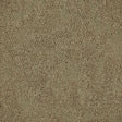 Nouveau Seasons Bloom Cedar Carpet Tiles from DCTUK