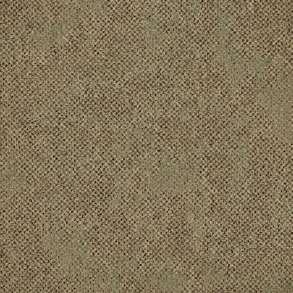 Cedar