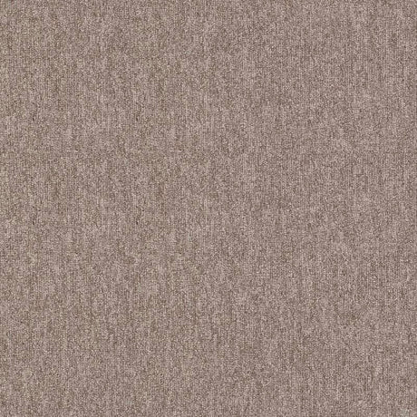 Nouveau Workspace Cement Carpet Tiles from DCTUK