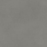 Polyflor Expona Simplay Looselay - Cold Grey Concrete 2566
