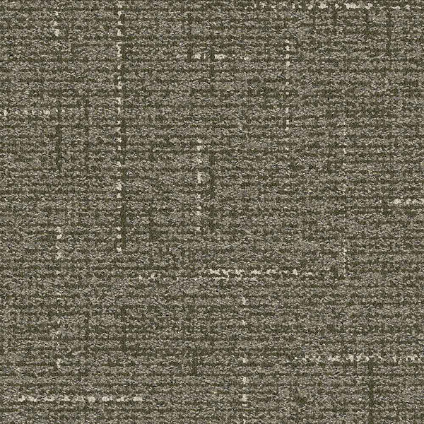 Olive 1904008