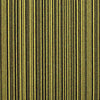 Paragon Codec Pathway Carpet Tiles - DCTUK
