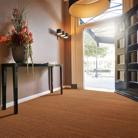 Paragon DDA Coir Sheet DDA COIR Entrance Matting - DCTUK