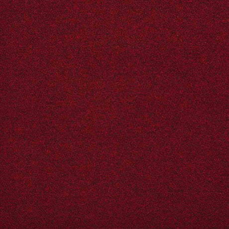 Paragon Diversity Blazer Carpet Tiles - DCTUK