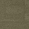 Paragon Elemental Collection Millstone Gritstone Moss Carpet Tiles - DCTUK