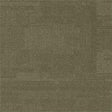 Paragon Elemental Collection Millstone Gritstone Moss Carpet Tiles - DCTUK