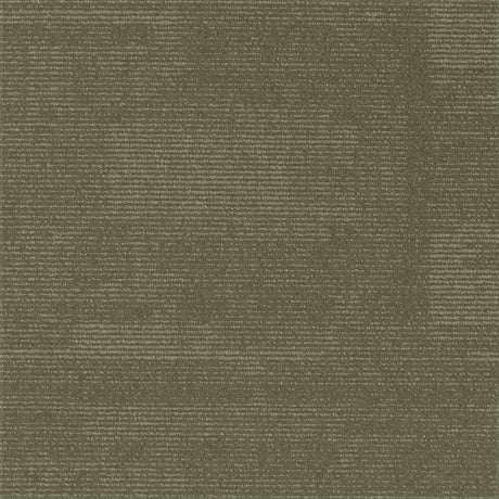 Paragon Elemental Collection Millstone Gritstone Moss Carpet Tiles - DCTUK